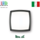 Вуличний світильник/корпус Ideal Lux, настінний/стельовий, алюміній, IP54, сірий, COMETA PL3 ANTRACITE. Італія!